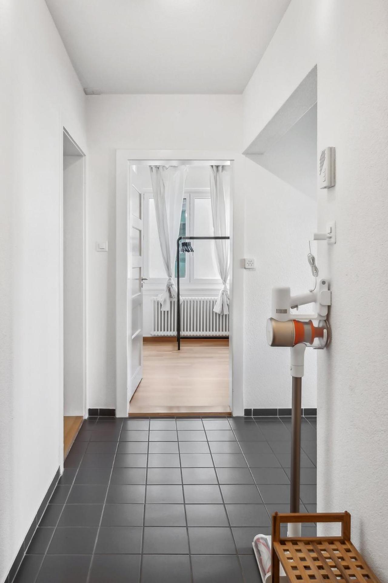 Comfortable Stay In Oerlikon 20 Minutes Away From Zurich Airport Eksteriør billede